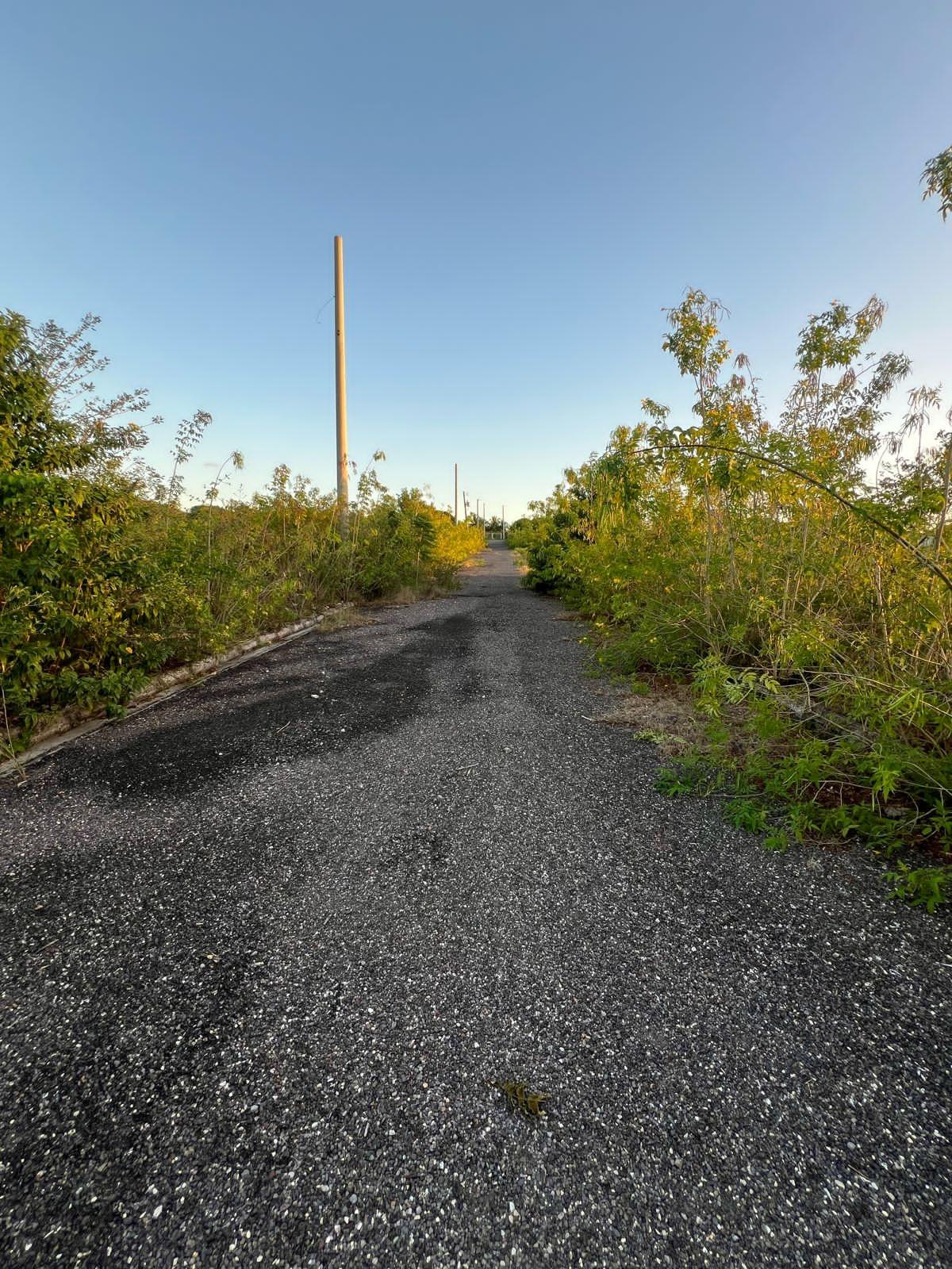 Second image of Lot 10 Longville Estate in Birds Hill, Clarendon, Jamaica - property is For Sale