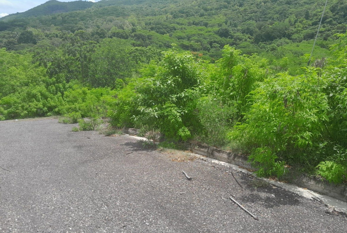 Third image of Lot 10 Longville Estate in Birds Hill, Clarendon, Jamaica - property is For Sale