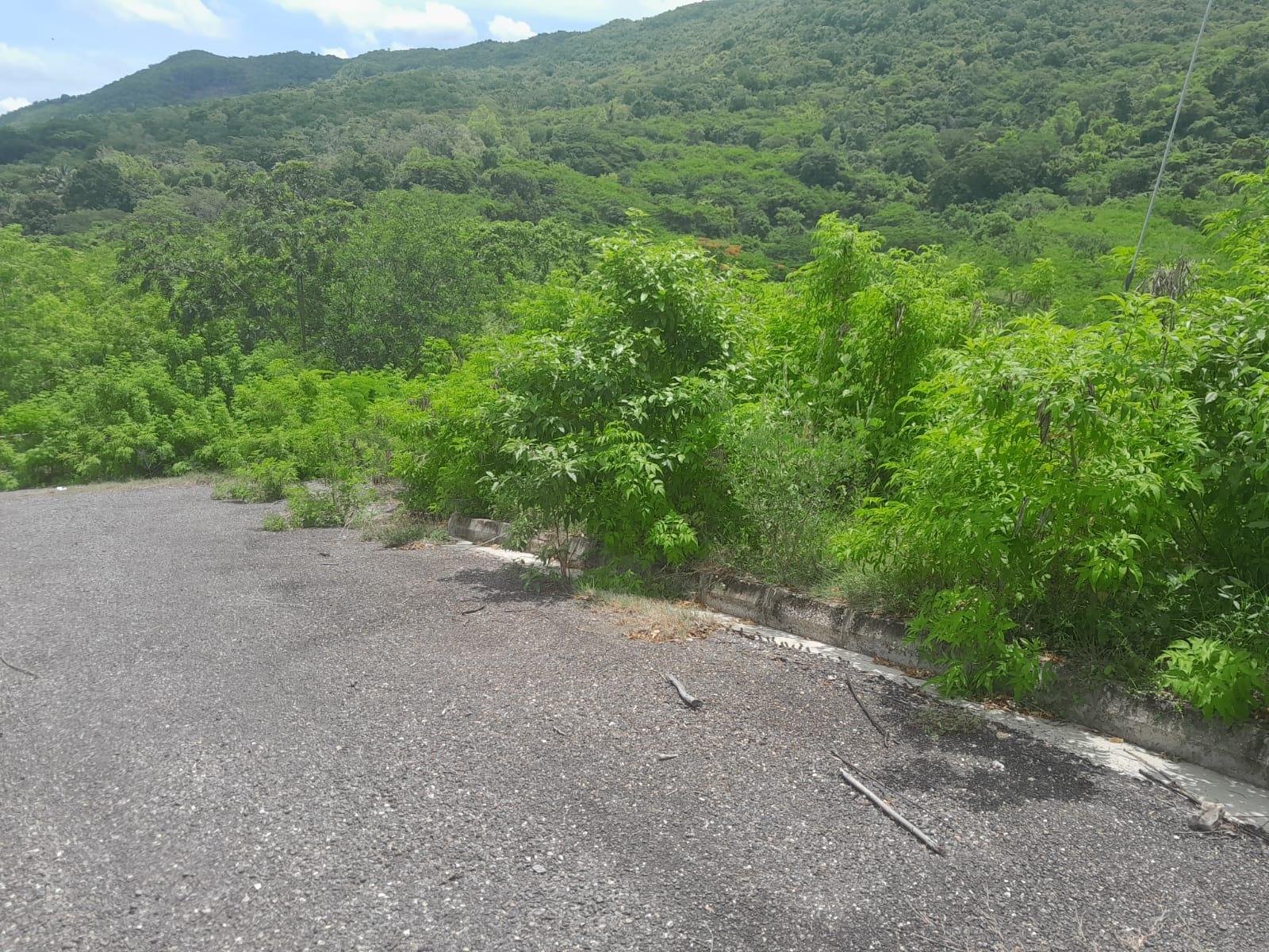 Third image of Lot 10 Longville Estate in Birds Hill, Clarendon, Jamaica - property is For Sale