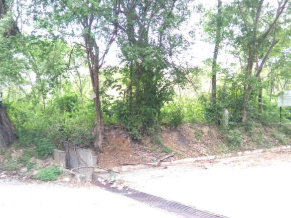 First image of Hodges Road Luana #2 in Black River, St. Elizabeth, Jamaica - property is For Sale