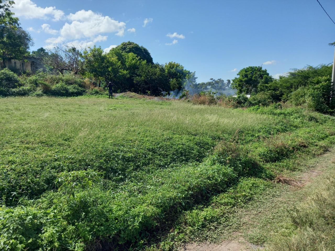 Residential-Lot-for-Sale-in-Lyssons-St.-Thomas-Build-Your-Dream-Home Second image of 14 Top Hill, Lyssons in Lysons, St. Thomas, Jamaica - property is For Sale