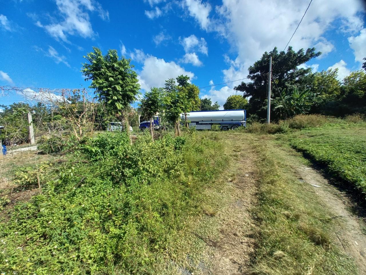 Residential-Lot-for-Sale-in-Lyssons-St.-Thomas-Build-Your-Dream-Home Third image of 14 Top Hill, Lyssons in Lysons, St. Thomas, Jamaica - property is For Sale