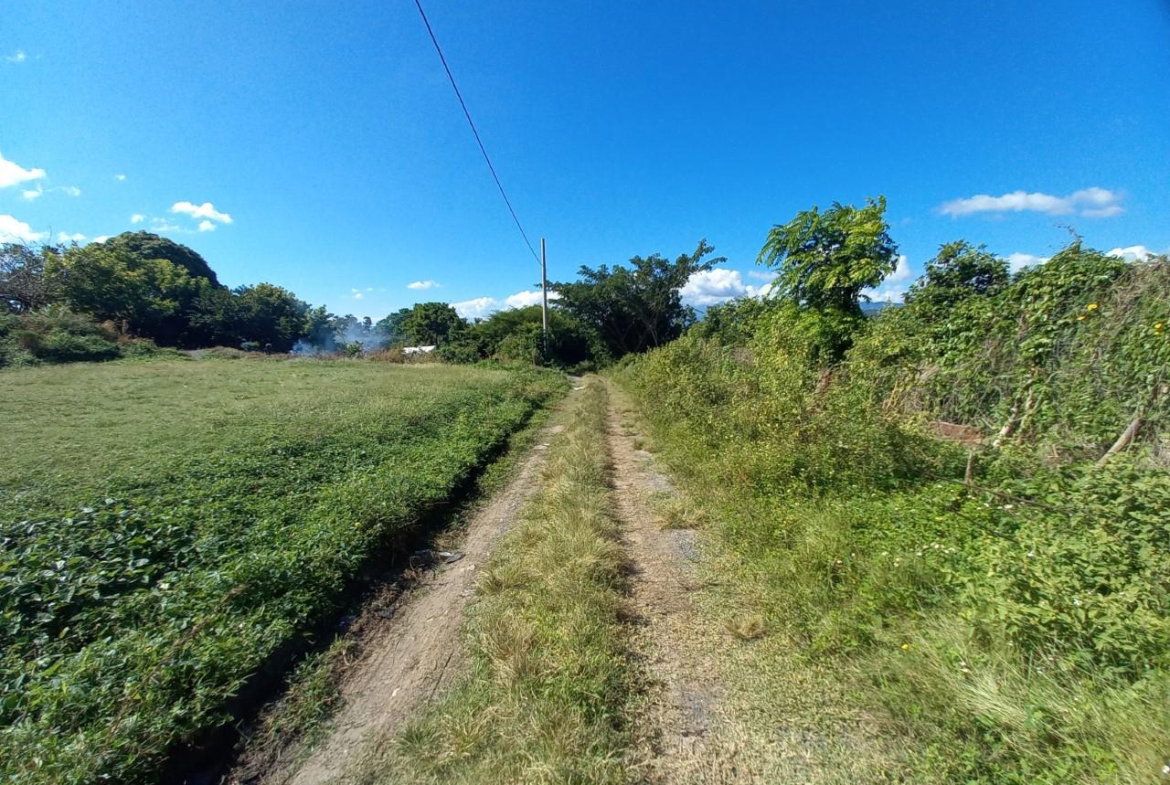 Fifth image of 14 Top Hill, Lyssons in Lysons, St. Thomas, Jamaica - property is For Sale