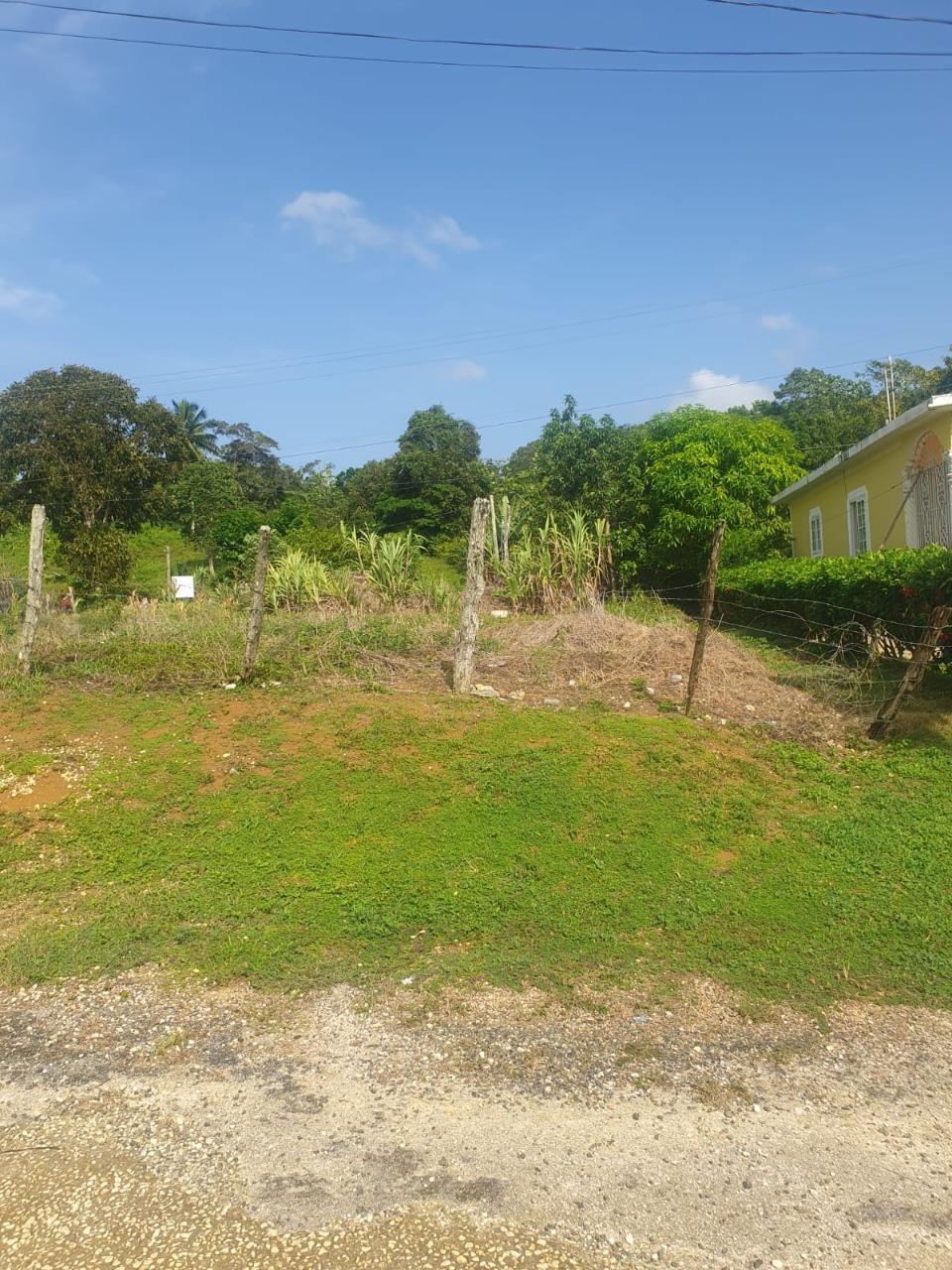 Residential-Lot-for-Sale-in-Malvern-Park-Pen-St.-Ann-Ideal-for-Your-Dream-Home Twelfth image of 27 Malvern Park Pen in Davis Town, St. Ann, Jamaica - property is For Sale