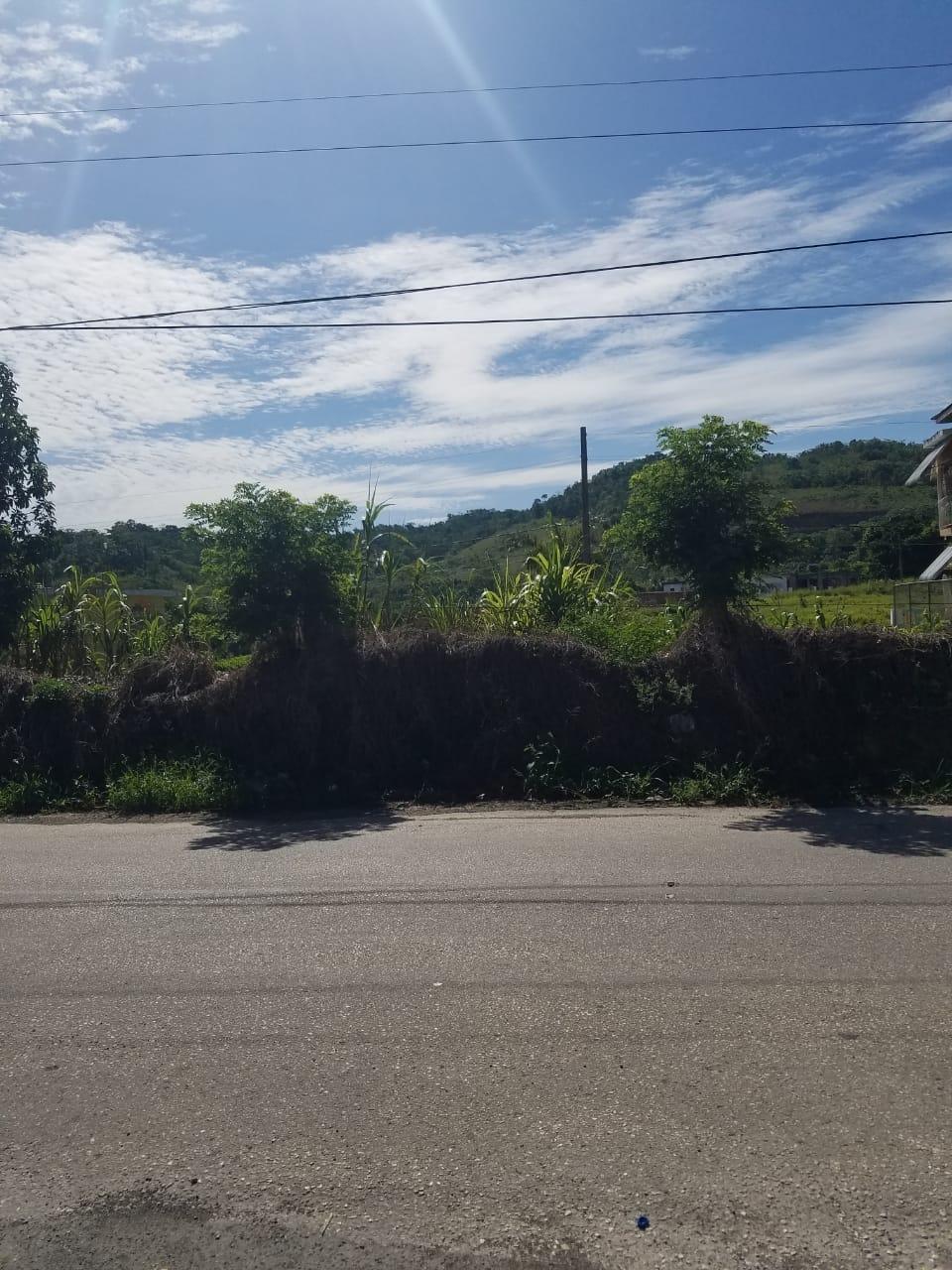 Residential-Lot-for-Sale-in-Malvern-Park-Pen-St.-Ann-Ideal-for-Your-Dream-Home Thirteenth image of 27 Malvern Park Pen in Davis Town, St. Ann, Jamaica - property is For Sale