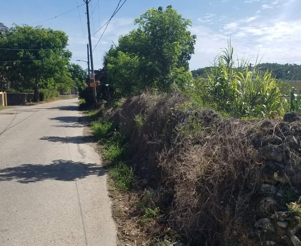 Fourteenth image of 27 Malvern Park Pen in Davis Town, St. Ann, Jamaica - property is For Sale
