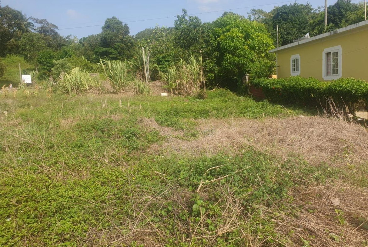 Fourth image of 27 Malvern Park Pen in Davis Town, St. Ann, Jamaica - property is For Sale