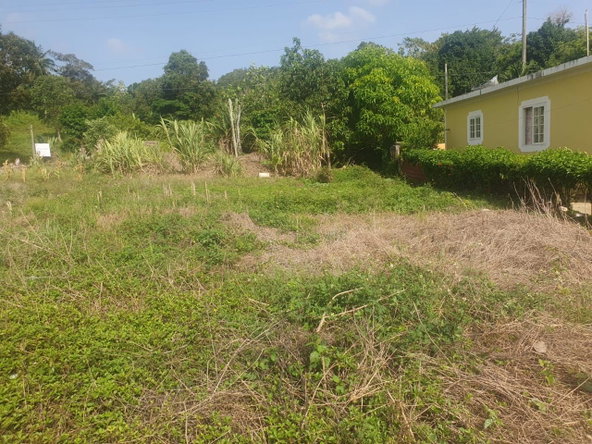 Fourth image of 27 Malvern Park Pen in Davis Town, St. Ann, Jamaica - property is For Sale