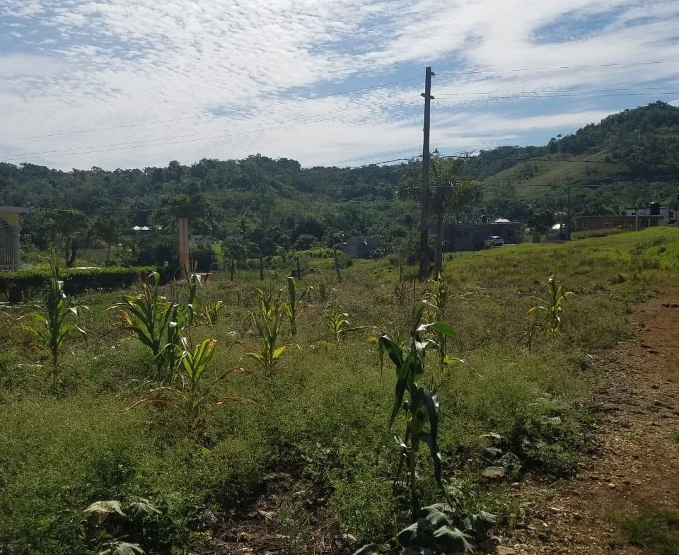Ninth image of 27 Malvern Park Pen in Davis Town, St. Ann, Jamaica - property is For Sale