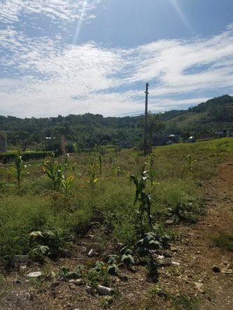 Ninth image of 27 Malvern Park Pen in Davis Town, St. Ann, Jamaica - property is For Sale