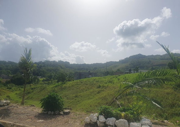 Tenth image of 27 Malvern Park Pen in Davis Town, St. Ann, Jamaica - property is For Sale