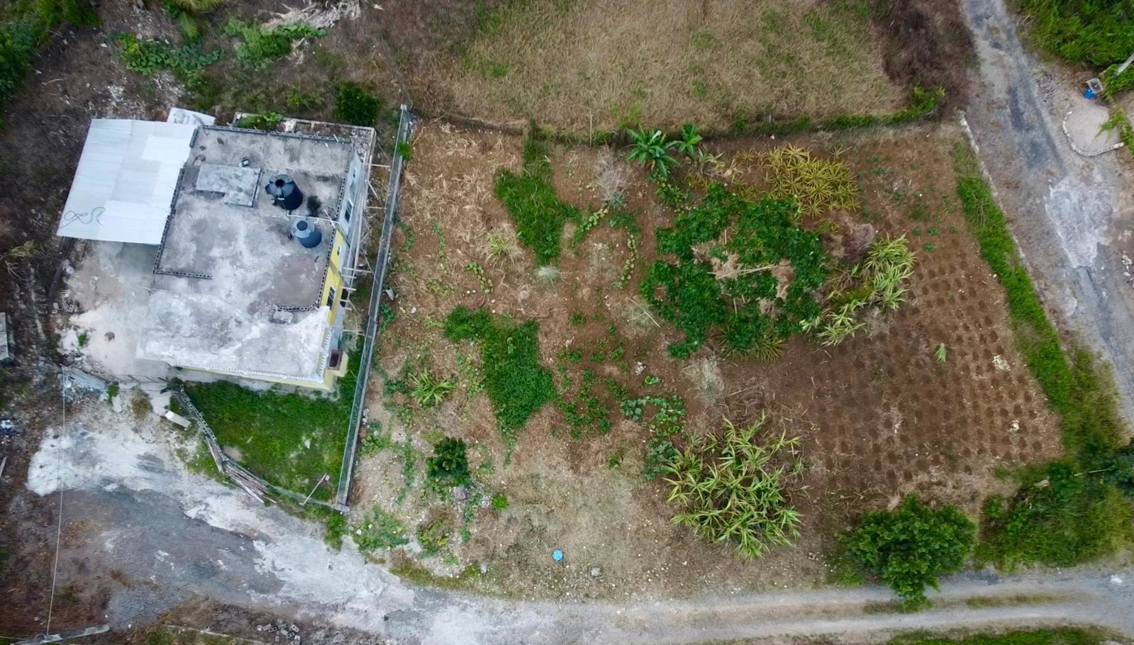 Eleventh image of 166 Malvern Park Pen in Claremont, St. Ann, Jamaica - property is For Sale