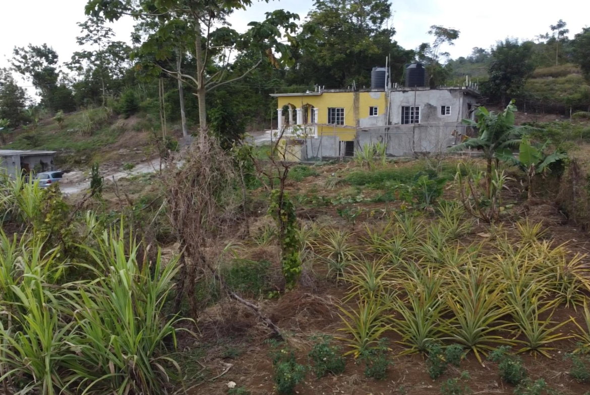 Twelfth image of 166 Malvern Park Pen in Claremont, St. Ann, Jamaica - property is For Sale