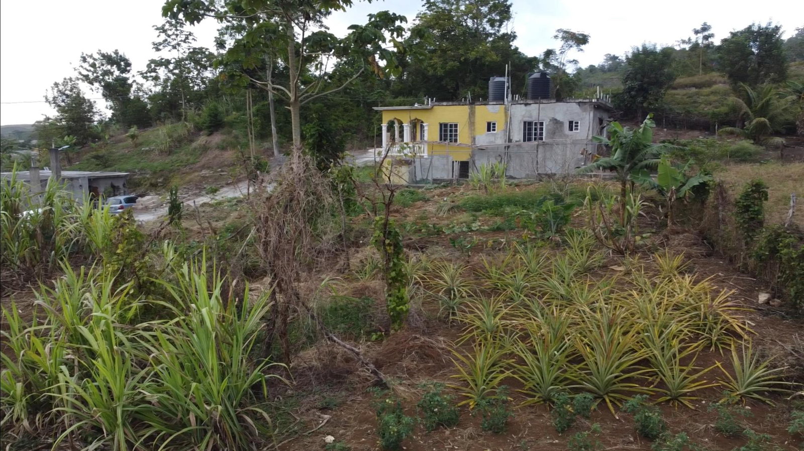 Twelfth image of 166 Malvern Park Pen in Claremont, St. Ann, Jamaica - property is For Sale