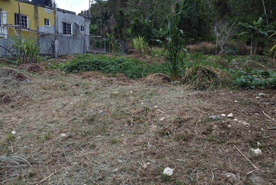Thirteenth image of 166 Malvern Park Pen in Claremont, St. Ann, Jamaica - property is For Sale