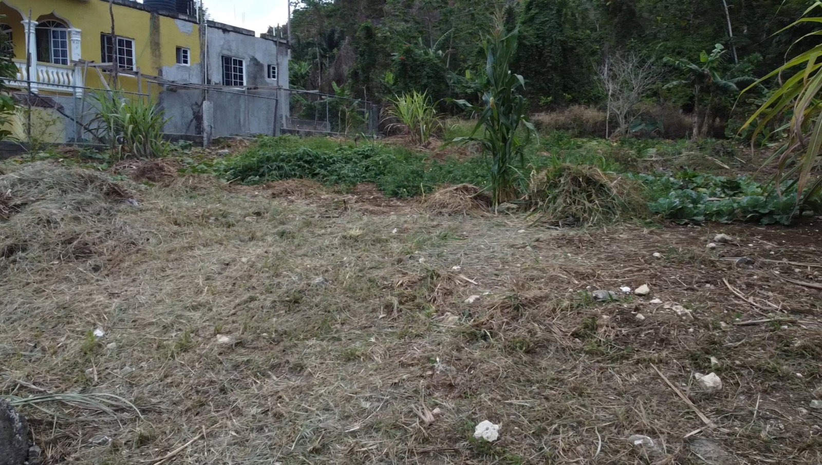 Thirteenth image of 166 Malvern Park Pen in Claremont, St. Ann, Jamaica - property is For Sale