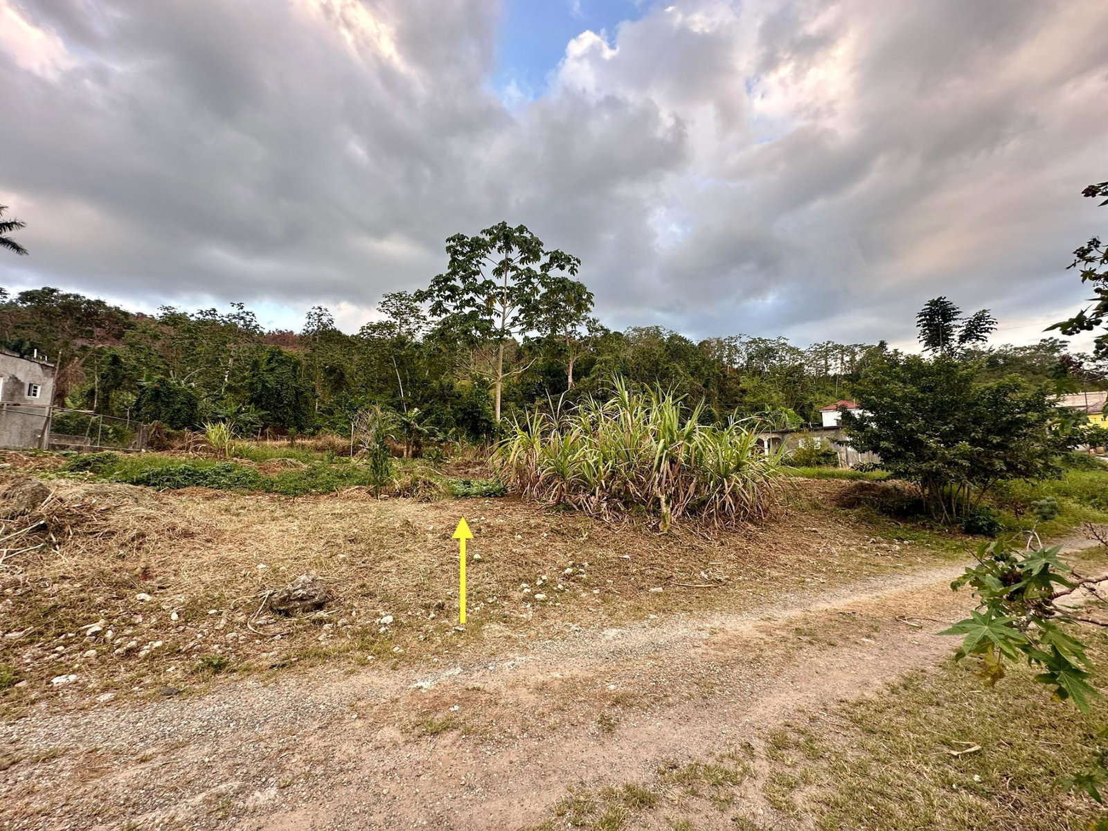 Fourth image of 166 Malvern Park Pen in Claremont, St. Ann, Jamaica - property is For Sale