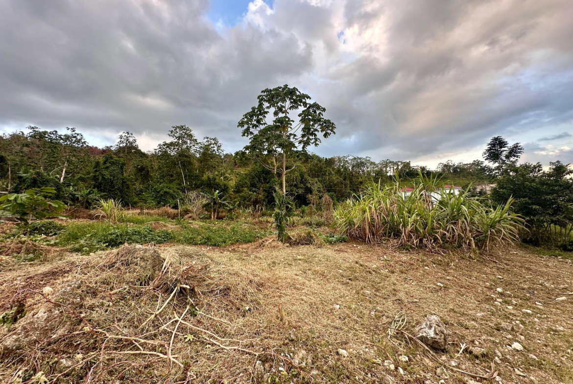 Fifth image of 166 Malvern Park Pen in Claremont, St. Ann, Jamaica - property is For Sale