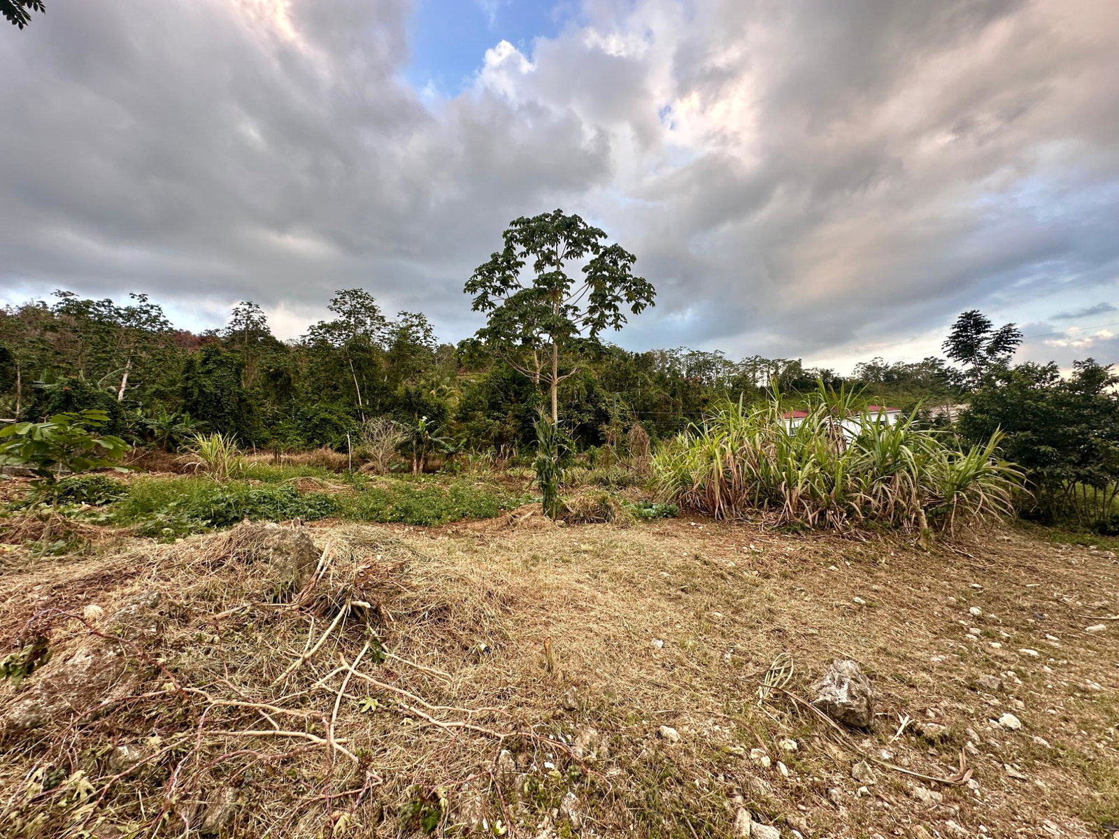 Fifth image of 166 Malvern Park Pen in Claremont, St. Ann, Jamaica - property is For Sale