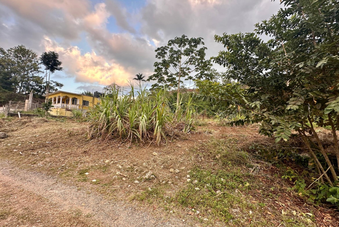 Sixth image of 166 Malvern Park Pen in Claremont, St. Ann, Jamaica - property is For Sale