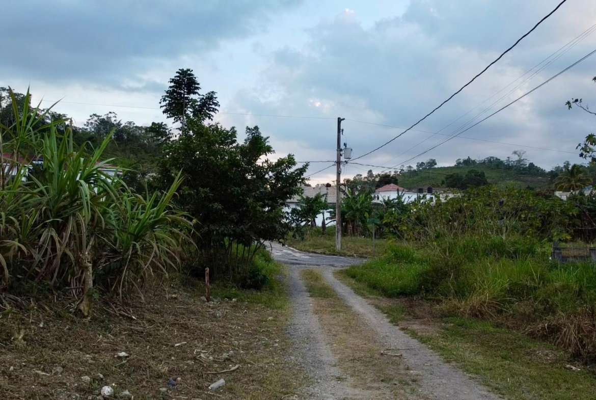Seventh image of 166 Malvern Park Pen in Claremont, St. Ann, Jamaica - property is For Sale