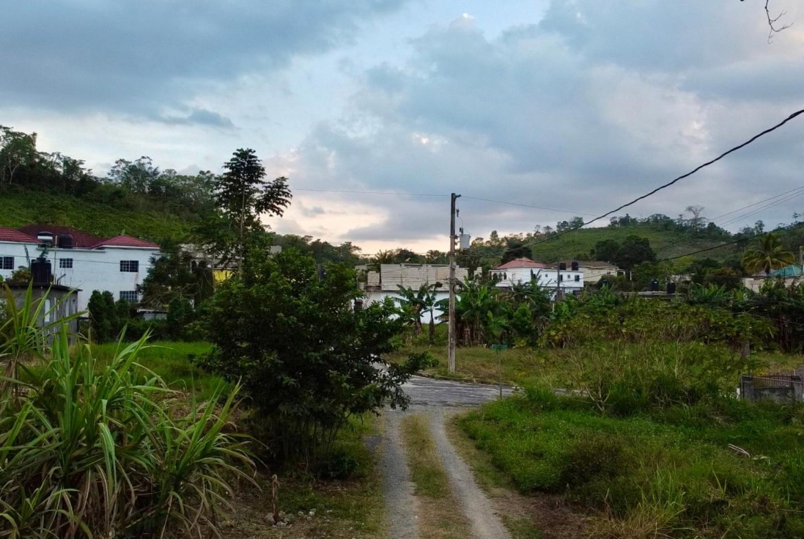 Eighth image of 166 Malvern Park Pen in Claremont, St. Ann, Jamaica - property is For Sale