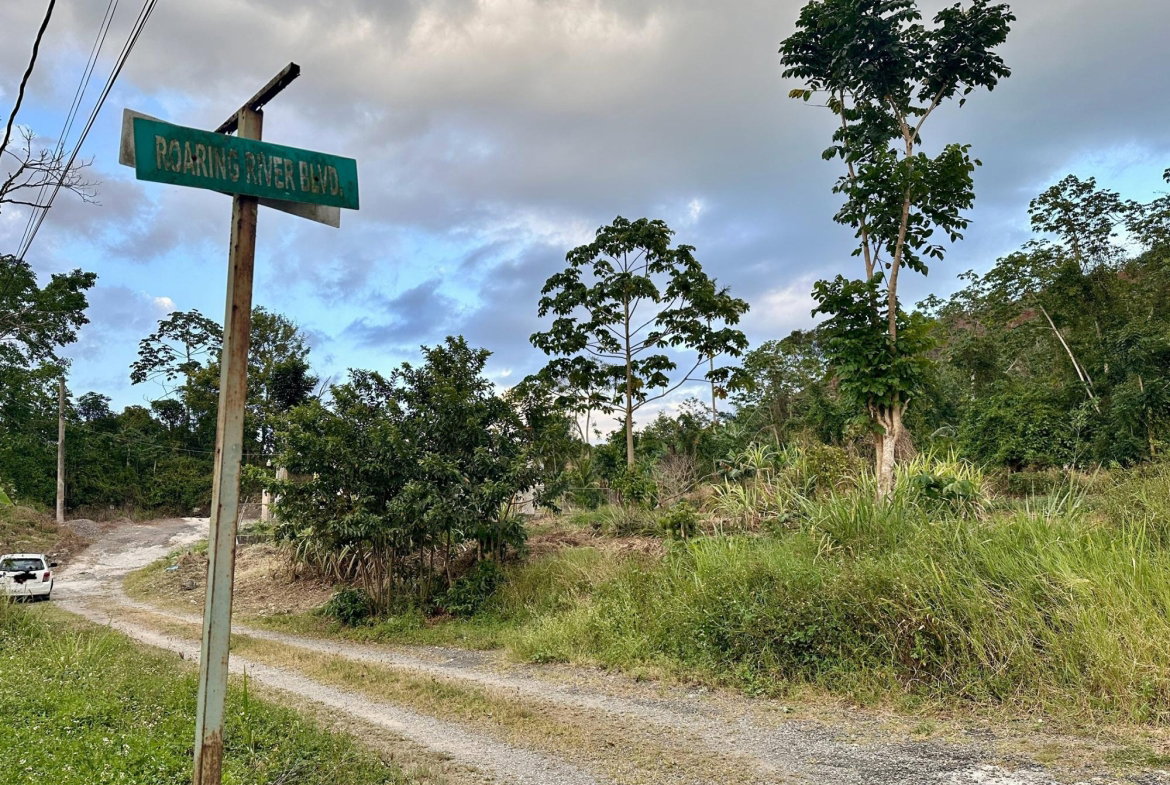 Ninth image of 166 Malvern Park Pen in Claremont, St. Ann, Jamaica - property is For Sale
