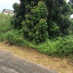First image of 3 Lillian Close in Mandeville, Manchester, Jamaica - property is For Sale