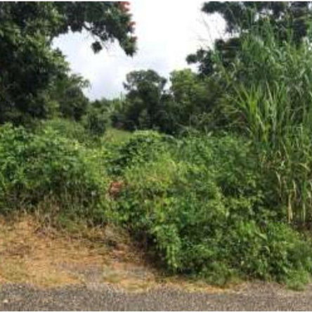 Third image of 3 Lillian Close in Mandeville, Manchester, Jamaica - property is For Sale