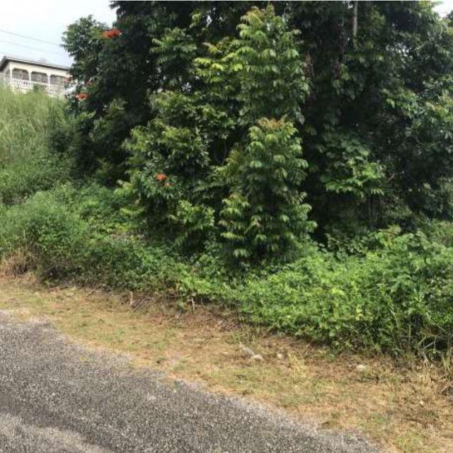 Fifth image of 3 Lillian Close in Mandeville, Manchester, Jamaica - property is For Sale