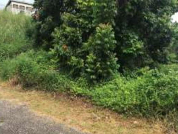 First image of 3 Lillian Close in Mandeville, Manchester, Jamaica - property is For Sale