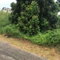 First image of 3 Lillian Close in Mandeville, Manchester, Jamaica - property is For Sale