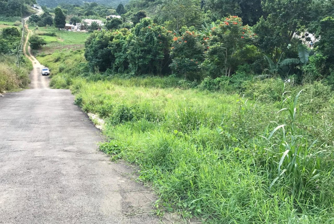 Second image of Lot No. 1d Walderston in Walderston, Manchester, Jamaica - property is For Sale