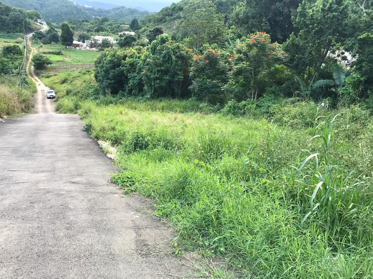 Second image of Lot No. 1d Walderston in Walderston, Manchester, Jamaica - property is For Sale