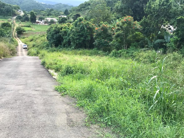 Second image of Lot No. 1d Walderston in Walderston, Manchester, Jamaica - property is For Sale