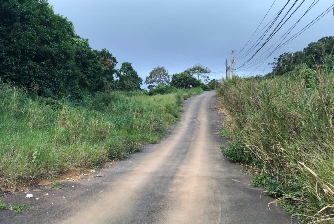 First image of Lot No. 1d Walderston in Walderston, Manchester, Jamaica - property is For Sale