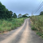 First image of Lot No. 1d Walderston in Walderston, Manchester, Jamaica - property is For Sale