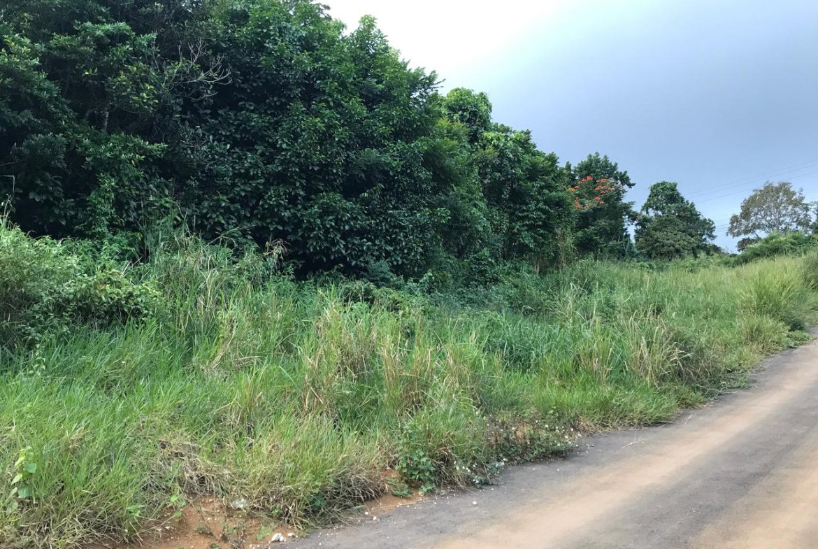 Third image of Lot No. 1d Walderston in Walderston, Manchester, Jamaica - property is For Sale