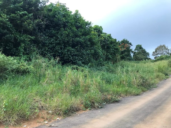 Third image of Lot No. 1d Walderston in Walderston, Manchester, Jamaica - property is For Sale