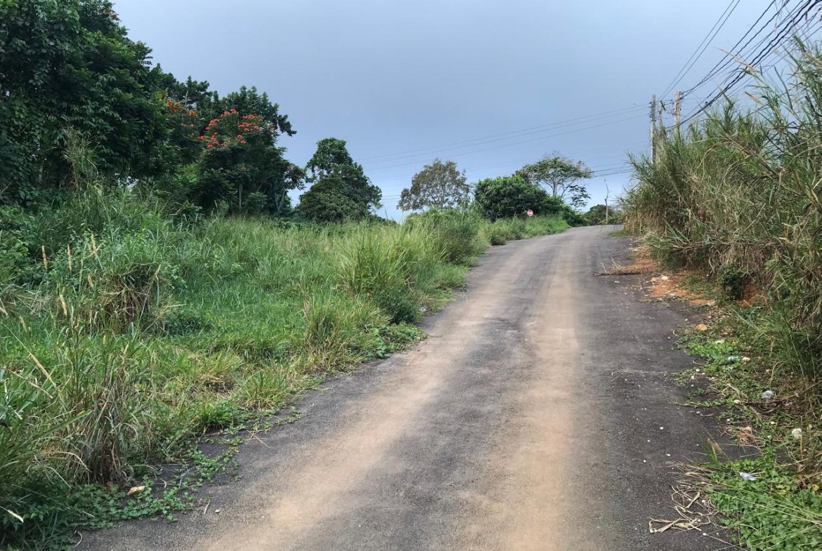 Fourth image of Lot No. 1d Walderston in Walderston, Manchester, Jamaica - property is For Sale