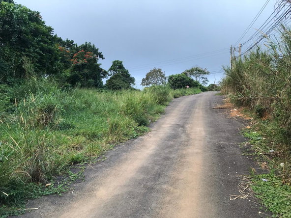 Fourth image of Lot No. 1d Walderston in Walderston, Manchester, Jamaica - property is For Sale