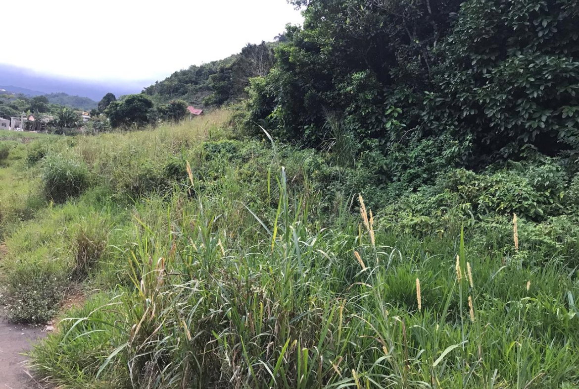 Fifth image of Lot No. 1d Walderston in Walderston, Manchester, Jamaica - property is For Sale