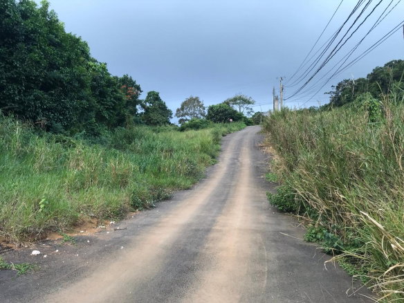 First image of Lot No. 1d Walderston in Walderston, Manchester, Jamaica - property is For Sale