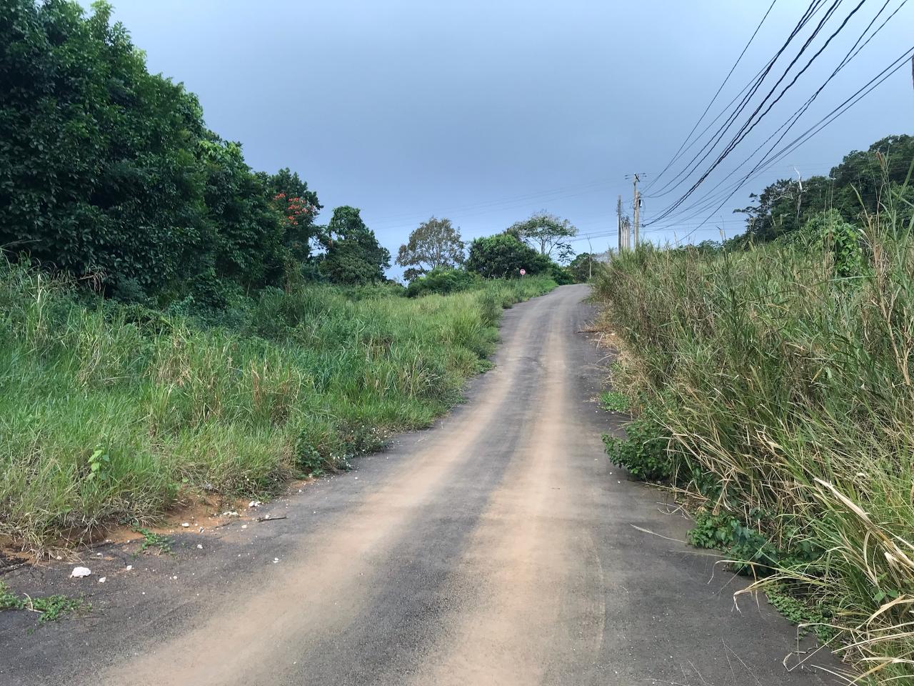 First image of Lot No. 1d Walderston in Walderston, Manchester, Jamaica - property is For Sale