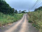 First image of Lot No. 1d Walderston in Walderston, Manchester, Jamaica - property is For Sale