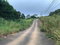 First image of Lot No. 1d Walderston in Walderston, Manchester, Jamaica - property is For Sale