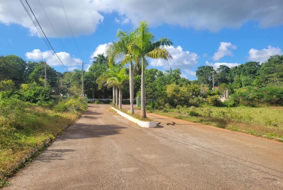 First image of Lot 32 May Day in May Day, Manchester, Jamaica - property is For Sale