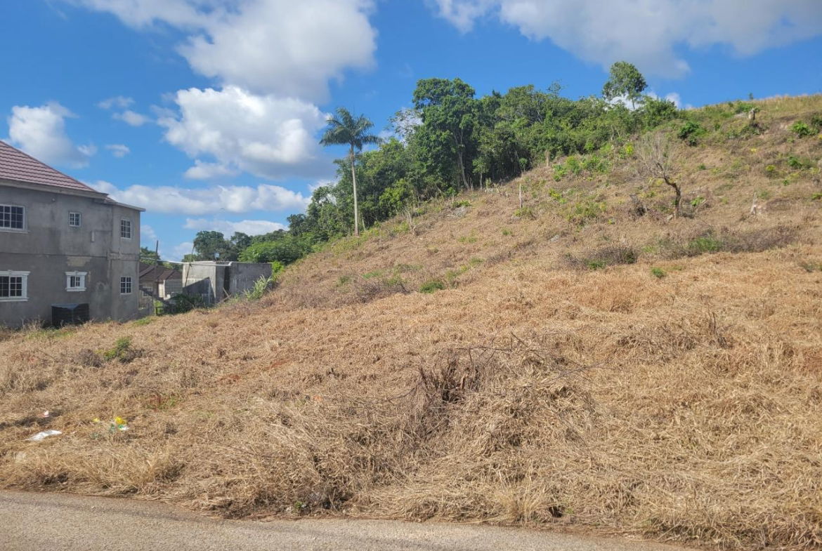 Third image of Lot 32 May Day in May Day, Manchester, Jamaica - property is For Sale