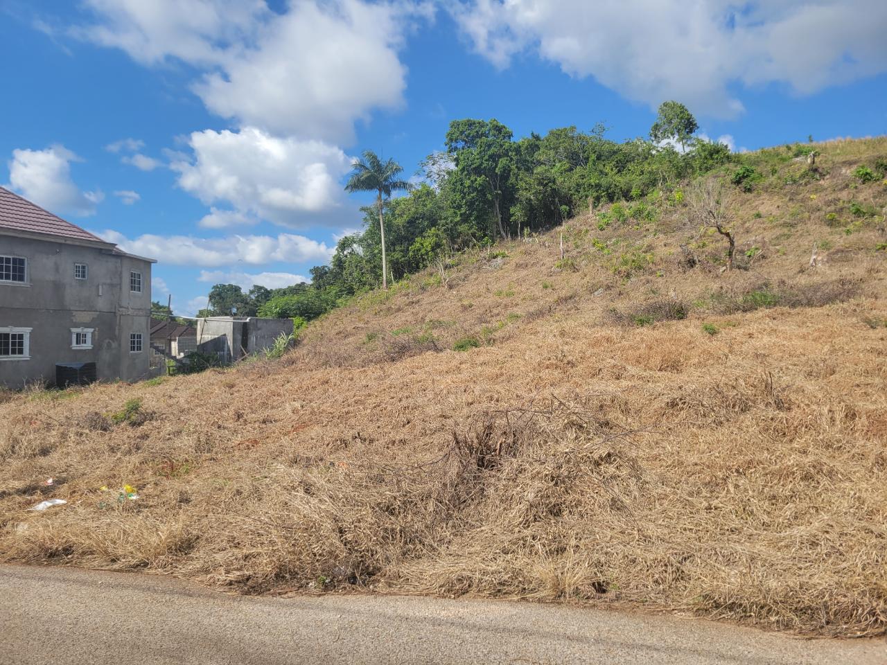 Third image of Lot 32 May Day in May Day, Manchester, Jamaica - property is For Sale