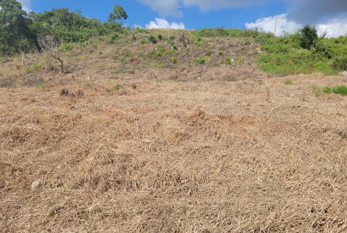 Fourth image of Lot 32 May Day in May Day, Manchester, Jamaica - property is For Sale